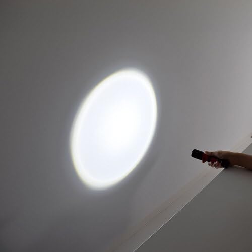 Nichido Ind LED Flashlight SL-6F-CH