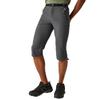 Regatta Men's Xert Stretch III Stretch Active Capri Shorts