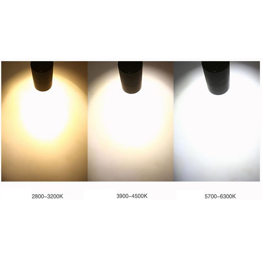 Surface Mounted Ceiling COB LED Light 20W 220V Downlight Adjustable Spotlight For Background Wall Photo Wall Art Exhibition