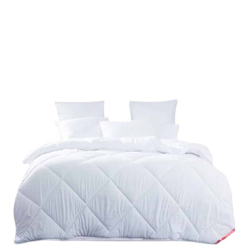 

MENGJIE All-Season Single Quilt