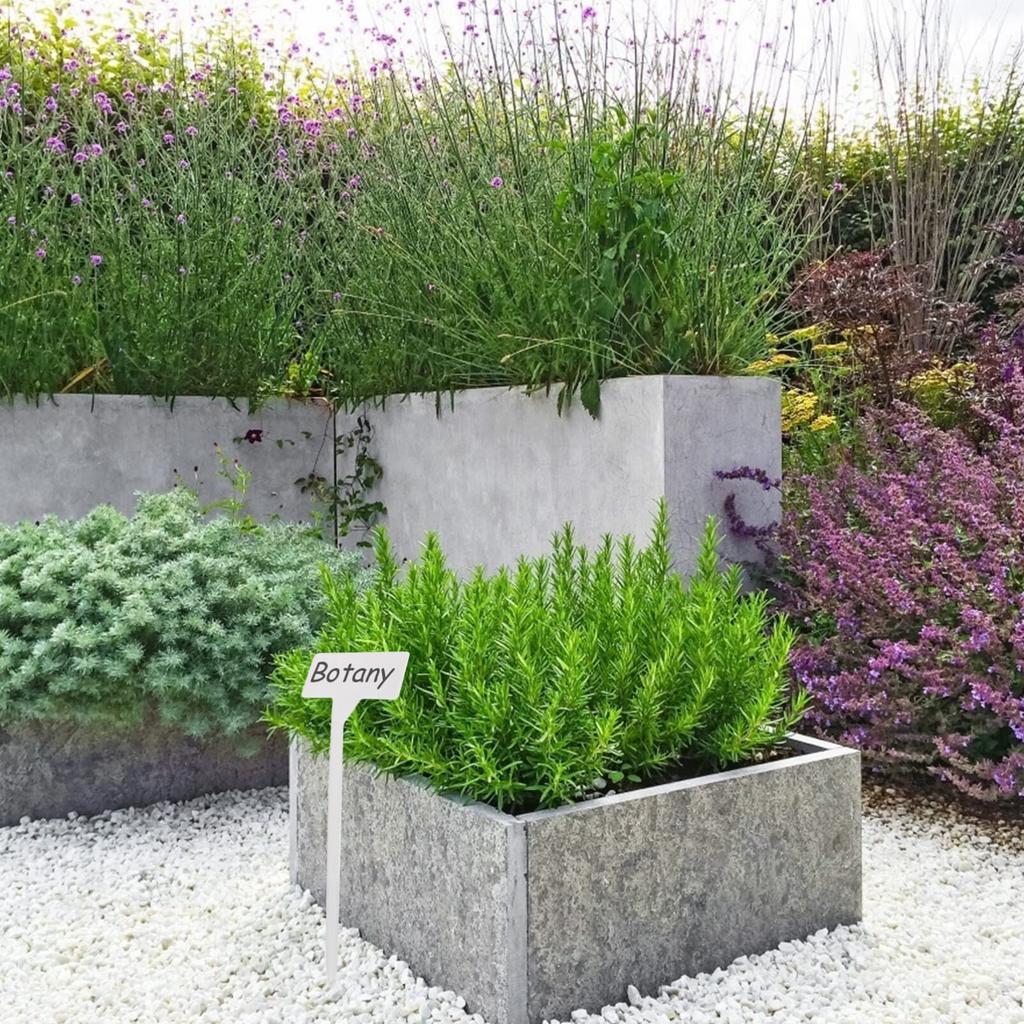 OUNONA Jardinería 20 Altura Jardinería Flor Etiquetas Blancas, Plantas, Maceteros, Etiquetas, Marcadores, Placas de Nombre, Estacas, Señales, Forma de T, Grandes, Piezas, 30cm,