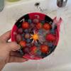 Large Capacity Swirl Berry Washing Drain Bowl Dynamic Vortex Fruit Cleaning Bowl  Home Kitchen