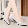 Spring and Autumn Soft-Soled Comfortable Solid Color Versatile Mid-Heel Women's Leather Shoes Chunky Heel Work Shoes Professional Single Shoes