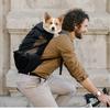 Ventilated Dog Backpack Carrier, Portable Travel Bag With Mesh Window For Outdoor Hiking And Small Dogs