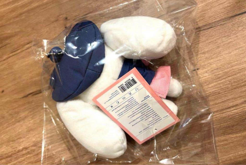 [USED] IVE MINIVE Wonyoung Pop-up School PLUSH Keyring