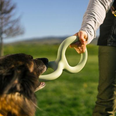 Yousheng Dog Tug Toy Interactive Dog Tug-of-War Toy Heavy Duty Chew Toy Teeth Cleaning Toy for Aggressive Chewers Small To Large Dogs Indoor Outdoor