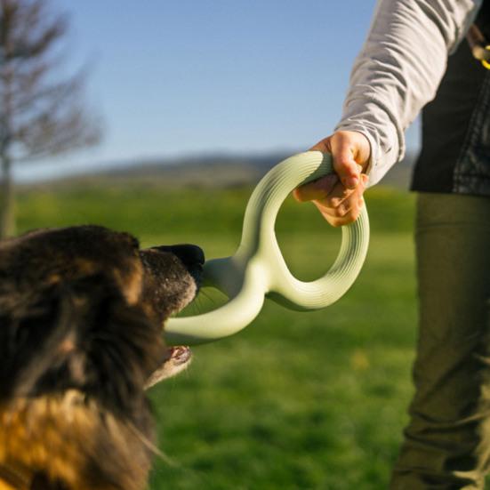 Yousheng Dog Tug Toy Interactive Dog Tug-of-War Toy Heavy Duty Chew Toy Teeth Cleaning Toy for Aggressive Chewers Small To Large Dogs Indoor Outdoor