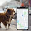 Evcil Hayvan Kaybolmaya Karşı GPS İzleyici Bluetooth Uyumlu Akıllı Giyilebilir Su Geçirmez Konum Belirleyici Gerçek Zamanlı İzleme Köpek Kedi Tasması Bulma Cihazı