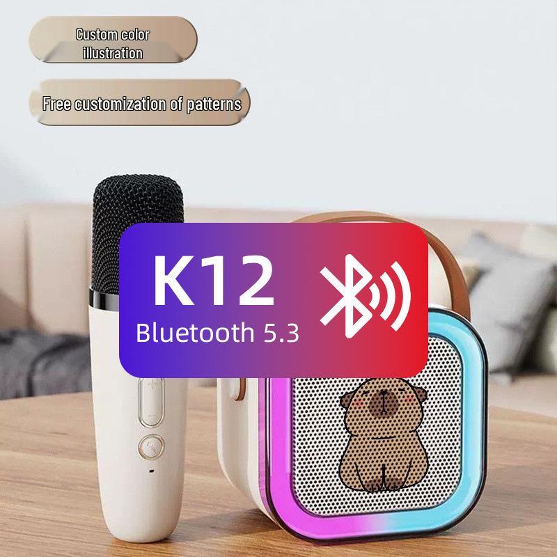 K12 Portable All-in-One Karaoke Bluetooth Speaker with Wireless Microphone