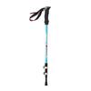 Telescopic Outdoor Trekking Pole