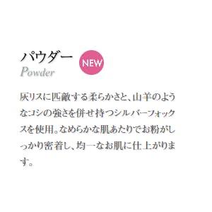 Authentic Kumano Brush Chikuhodo Silver Fox Powder Brush with Black Handle (R-P8) Hiroshima Regular Series Makeup Brush CHIKUHODO (Black)