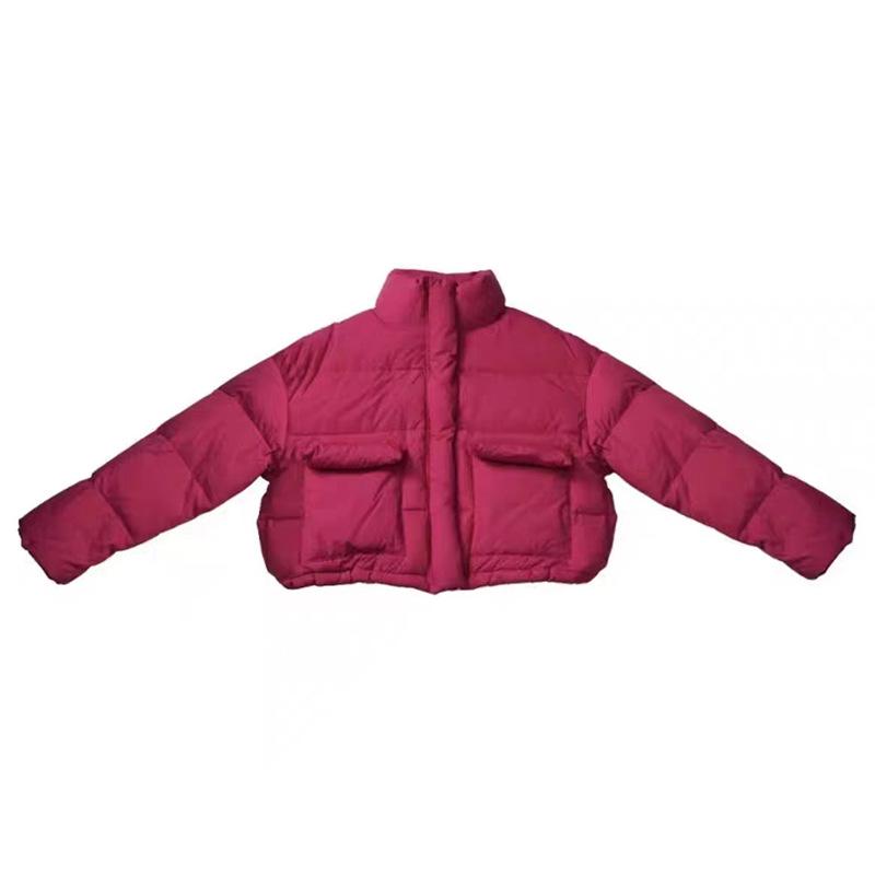 Koreanische Version Stehkragen Daunenjacke Damen kurz 2025 Winter neu verdickt warm weiße Entendaunen große Tasche Brotjacke