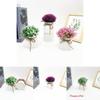 Plastic Veronicastrum Caulopterum Flower Pot With Rope Butterfly Tie For Home Decor And Garden Display