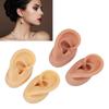 2 Pair 3D Silicone Ear Model Soft Flexible Left Right Ear Simulated Fake Model Practice Tool for Teaching Jewelry Display