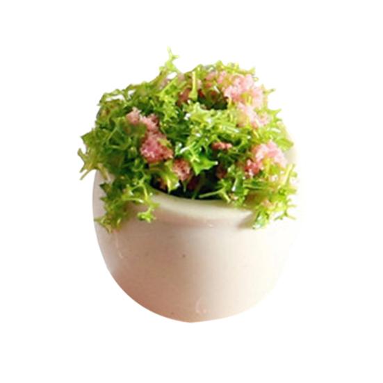 Mini Plant Model 1/12 Scale Doll Houses Plants Realistic Micro Plastic Pots for Doll Houses Garden Accessories Fairy Garden Patio Decor Miniature