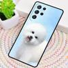 Bichon Frisé Hund Welpe Handyhülle für Samsung Galaxy note 10 pro S26 Ultra S23 S24 FE S25 S21 S22 PLUS stoßfeste Hülle