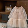 Spring and Autumn New Girls Lace Spliced Princess Dress