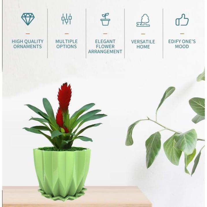 Crystal Look Plastic Flower Pots with Tray for Home & Decoration Planters, Terrace, Garden Plant Container Set (Pack of 5, Plastic)