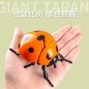 Running Seven-star Ladybug Simulation Beetle Winding Chain Unzipping Children's Wind-up Toy