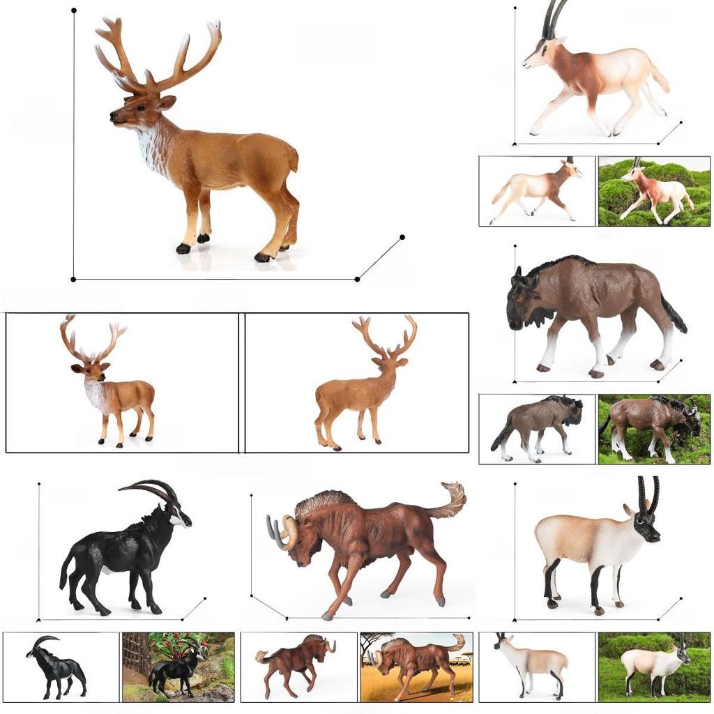 Wild Tibetan Antelope Solid Plastic Model Set For Kids Educational Play And Collecting