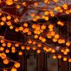 Persimmons String Light Waterproof Battery Operated Artificial Fruit Lights for Outdoor Garden Christmas Tree Decor