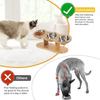 Three-tier cat feeding bowl with adjustable-angle bowls and a 15° inclined stand suitable for indoor puppies and kittens
