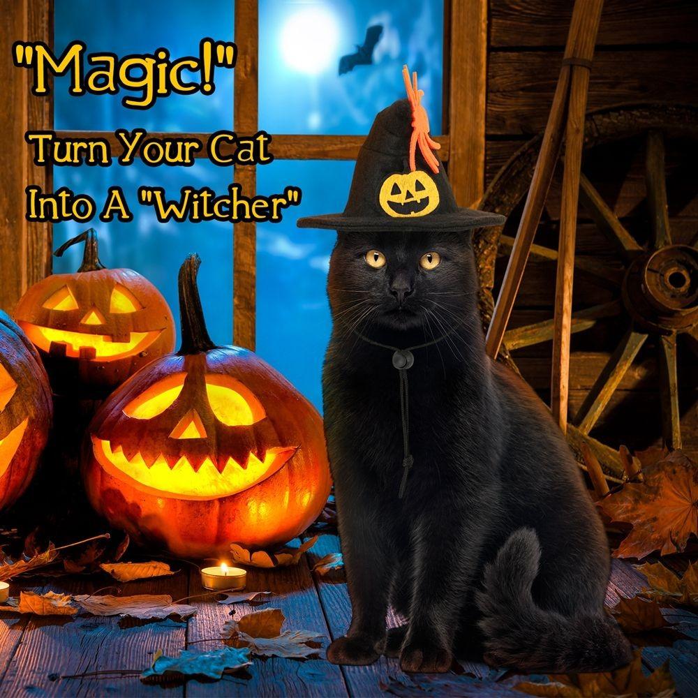 Adjustable Halloween Cat Costume Pumpkin Pet Halloween Supplies Cat Collar Hat Set  Halloween Party