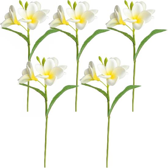 5PCS PU Real Touch Lifelike Artificial Plumeria Frangipani Flower Stems Wedding Home Party Spring Flowers Decoration (White)
