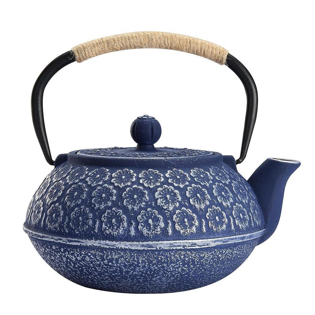 Japanese Cast Iron Teapot Internal Enamel for Loose Leaf Tea Bags Indoor