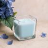 Scented Soy Wax Candle, Fig And Cassis