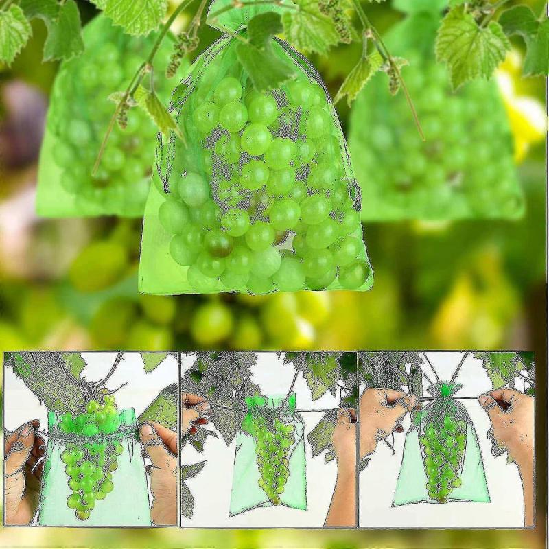 100pcs Bunch Protection Bag 30x20cm/10x15cm Grape Fruit Organza Bag With Drawstring