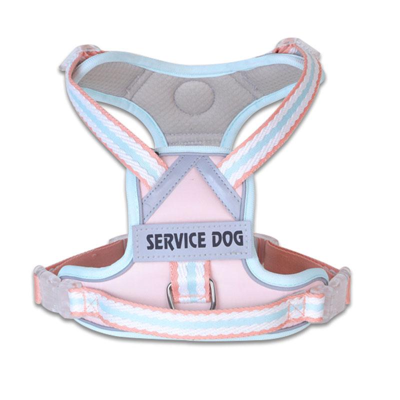 New Reflective Dog Harness, Dog Harness with Customizable Name and ID, Cute Style Pet Leash, Explosion-proof Dog Collar
