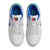 Nike Dunk Low Tennis Classic Women's Skate Shoes Sneakers FB7910-100