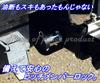 Piece of Peace Product Hitch Lock Pin 5/8 Inch for Theft Prevention, For Theft
