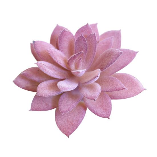 Kunstmatige vetplant bloemstuk DIY Bonsai Home Hotel Cafe Decor