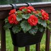 Metall Eisen Hängender Blumentopf Abnehmbarer Doppelhaken Zaun Pflanzentopf Gartenbau Dekor Bonsai Blumenständer Heim Balkon Dekor