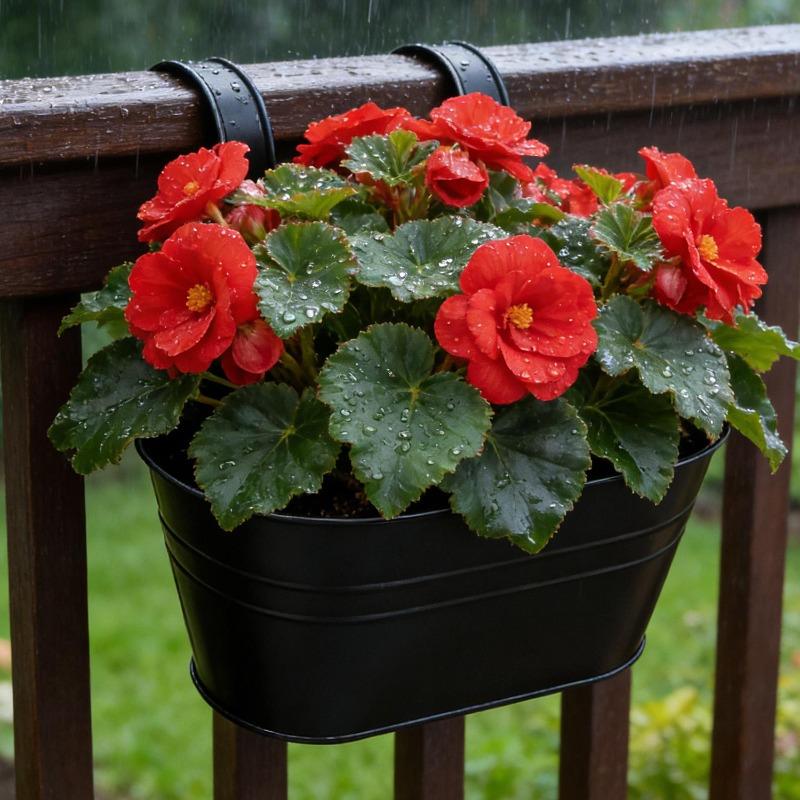 Metall Eisen Hängender Blumentopf Abnehmbarer Doppelhaken Zaun Pflanzentopf Gartenbau Dekor Bonsai Blumenständer Heim Balkon Dekor
