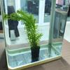 12 Stück Aquarium Pflanzenhalter Multifunktions-Wasserpflanzenbecher Anti-Schwimmender poröser Pflanzkorb Aquarienbecken Zubehör