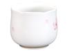 Okura Touen [Hand-painted] Sakura No. 12 Sake Cup, Approx. 95cc, Made In Japan, 12CCN/C303