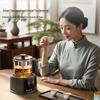 KAMJOVE Electric Spray Tea Brewer & Health Kettle CN plug (adapter included)