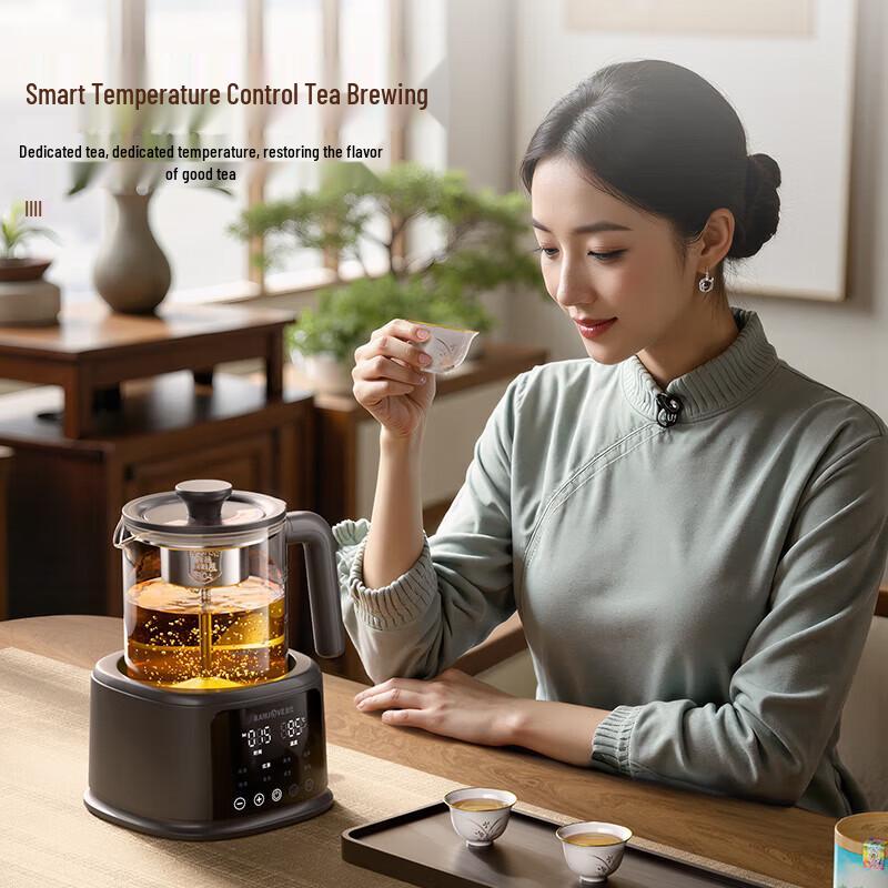 KAMJOVE Electric Spray Tea Brewer & Health Kettle CN plug (adapter included)