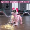 Programmable Remote Control Robot Cat for Kids Interactive Robotic Cat, RC Robot with Touch Sensing, LED Eyes, Dance