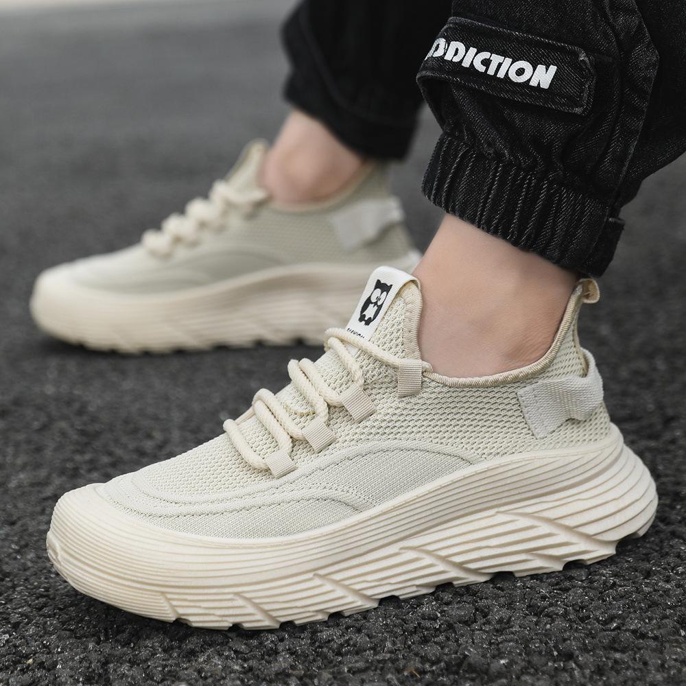 Summer New Men's Deodorant Breathable Mesh Casual Versatile Thick Sole Heightening Lightweight Men's Shoes