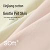 Fenteng Women's 4-Pack Antibacterial Cotton Lace Underwear