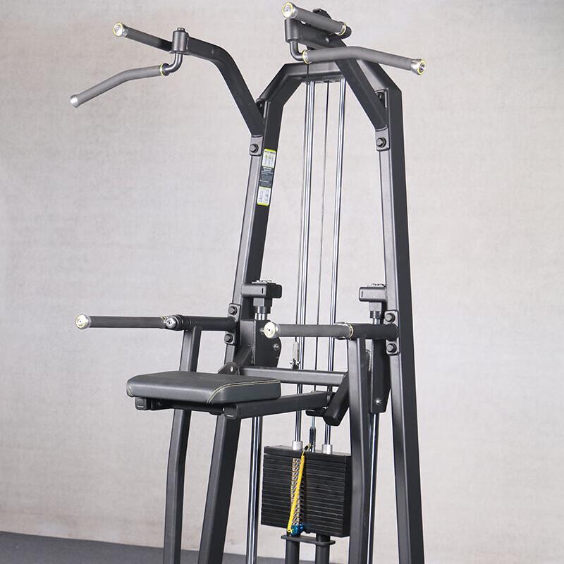 Bingyu Professional Strength Training Dip Station