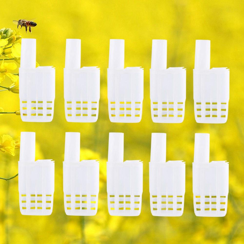 10pcset Plastic Queen Bee Cages Isolator Beekeeper Beekeeping Rearing Tools Insectary Box