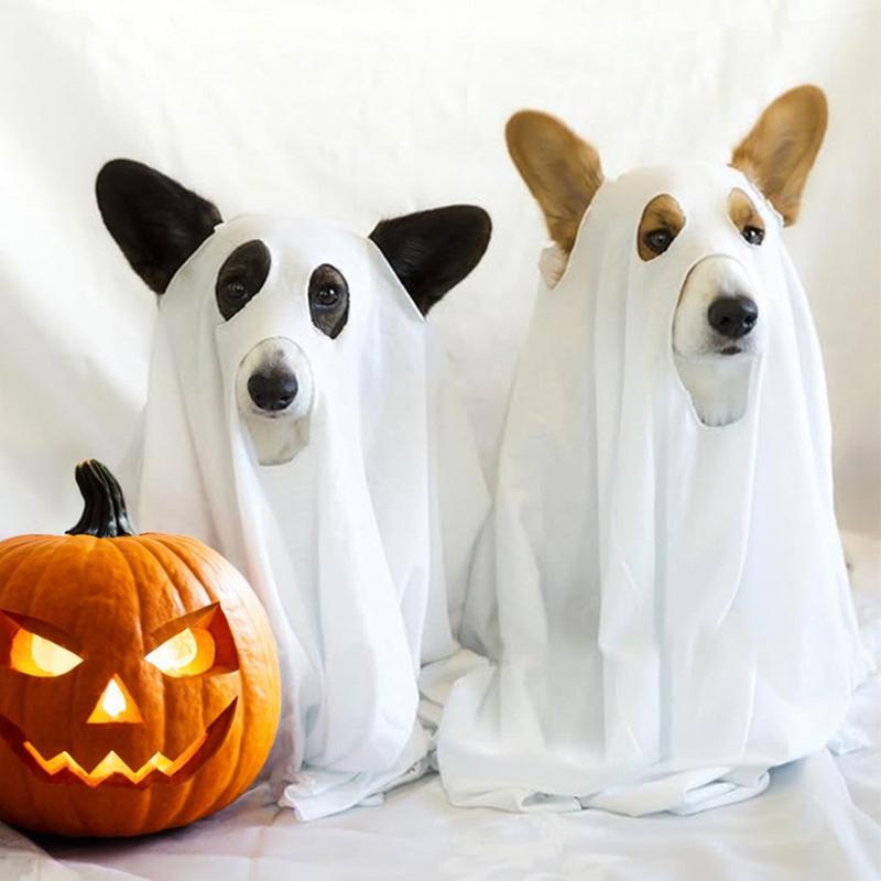 Halloween Ghost Pet Cloak Grab Attention Dog Cosplay Costume Comfortable To Wear Halloween Ghost Pet Cloak for Parties Photo