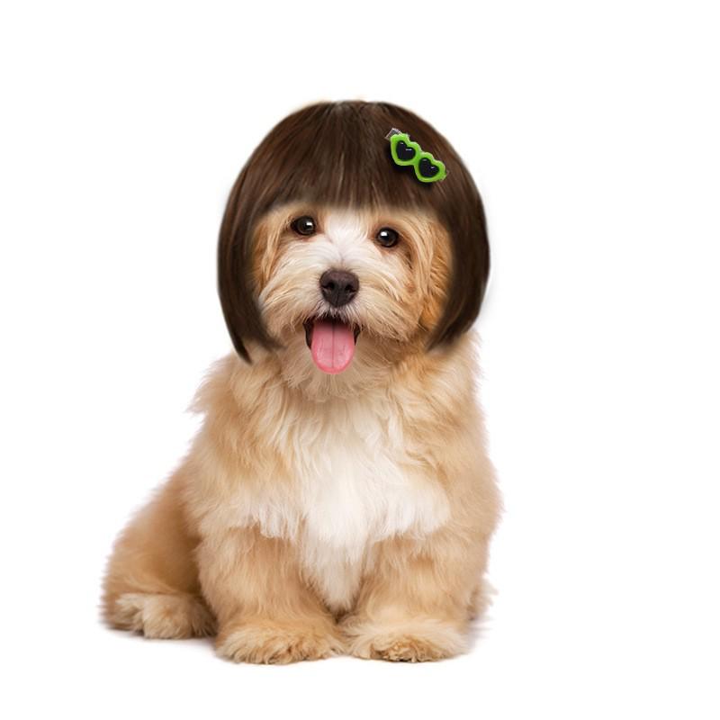 Accesorios para Pelo de Mascota Gafas Pasador: Clip Lindo para Gafas de Sol para Perros y Gatos