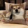 Shiba Inu Cute Pillow Case Pillowcase, Double-sided Printed, Sofa Cushion, Bedroom Headboard Pillow