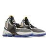 Nike LeBron 19 EP 'Graduate' (Unisex) Black / University Gold / Persian Violet Basketball Shoes DC9340 002